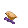 Birdo Avatar